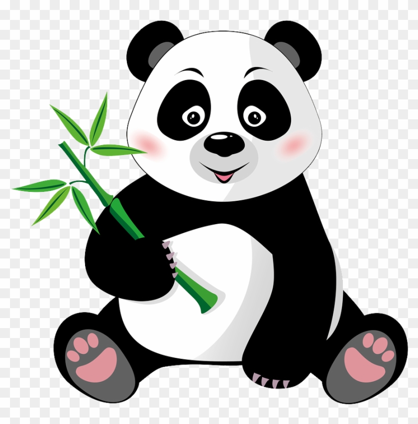 Rosto Urso Panda Png, Transparent Png, free png download