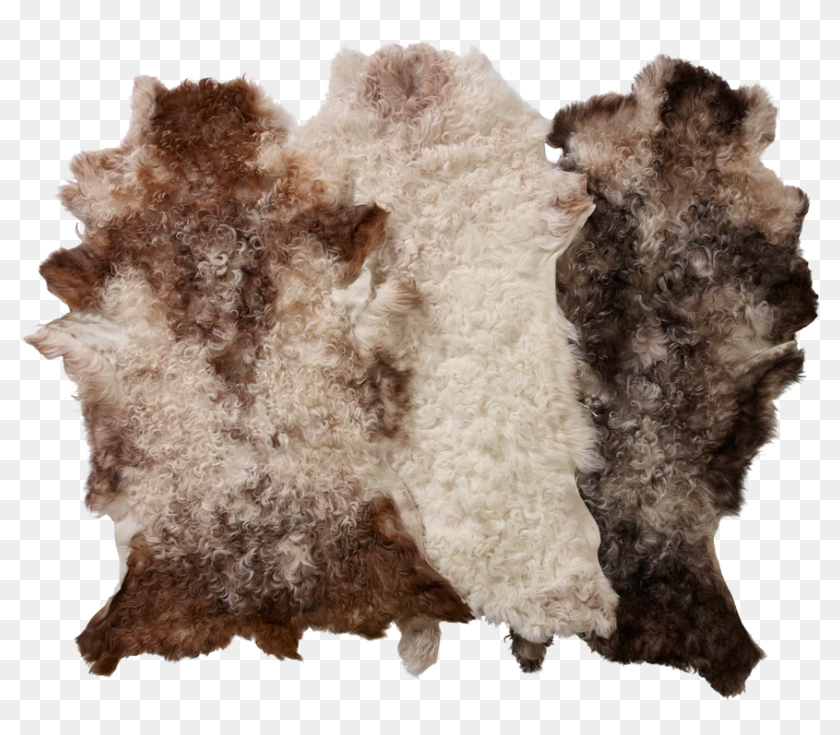 You Can Return Goods For Any Reason At Any Time Within Fur Rug Png