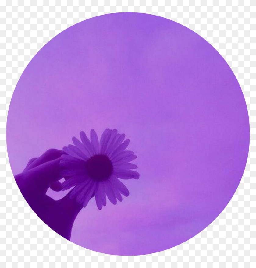 Download 860 Koleksi Background Aesthetic Tumblr HD Paling Keren