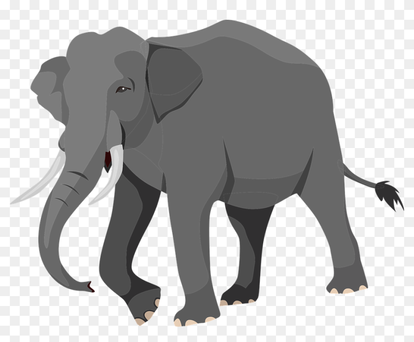 ช้าง Png, Transparent Png - 926x720 (#5327402) - PinPng