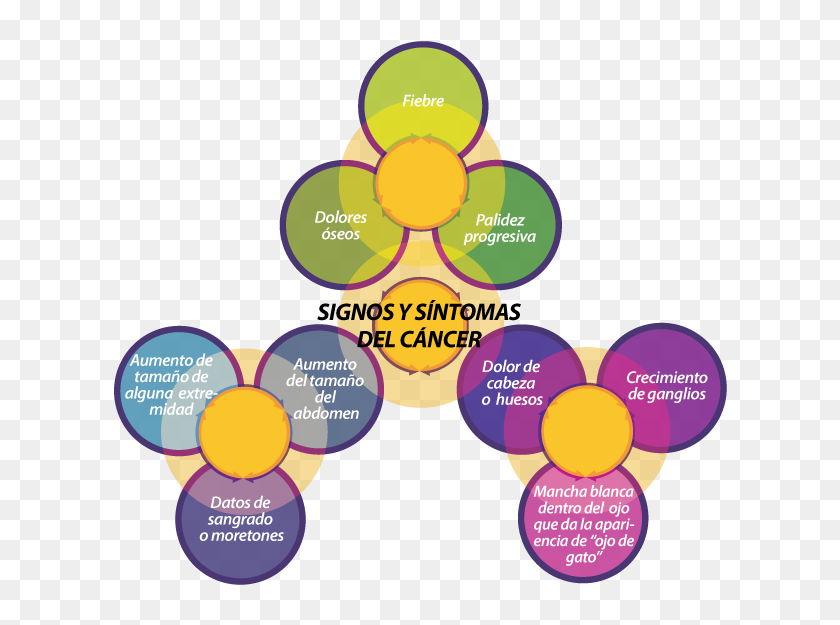 Signos y síntomas cetosis