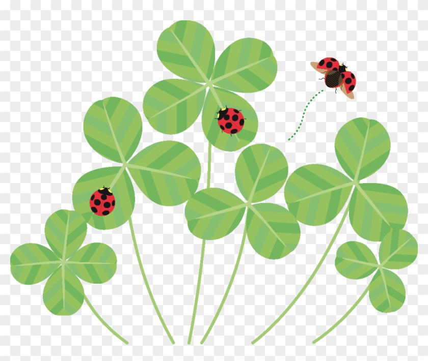 Shamrock クローバー の イラスト 無料 Hd Png Download 1126x9 5438 Pinpng