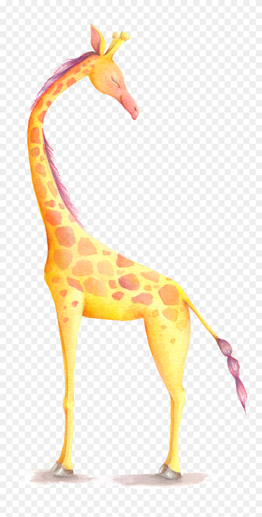 Giraffe Cartoon Transparent - Giraffe, HD Png Download - 992x1906
