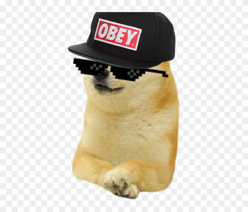 Pictures Of Mlg Doges Roblox