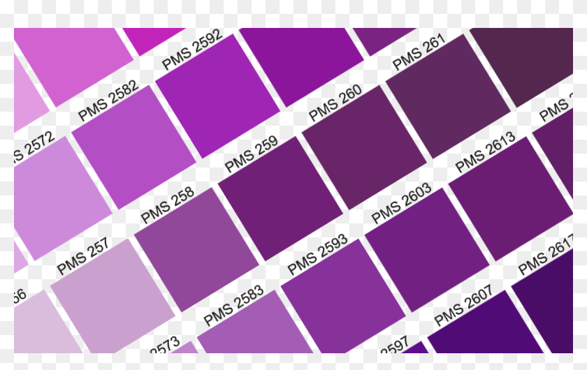 Pantone 258, HD Png Download - 1200x700 (#5788518) - PinPng