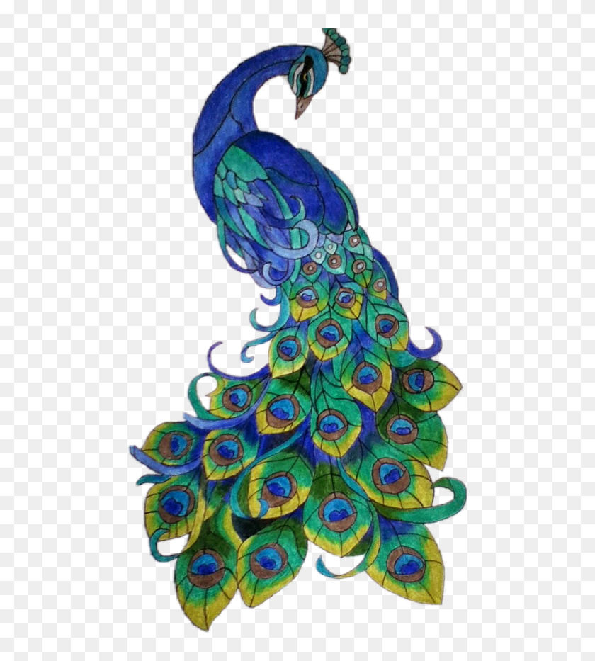 Easy Drawing Of Peacock