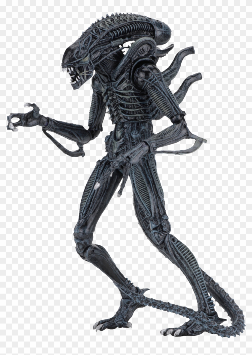 alien isolation xenomorph figure