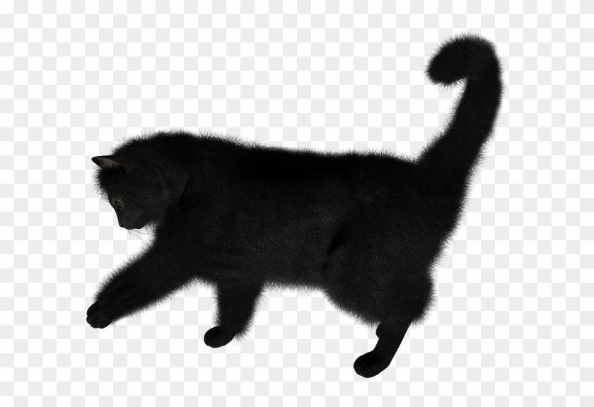 Black Cat Png Cliprt Transparent Background Black Cat Png Png