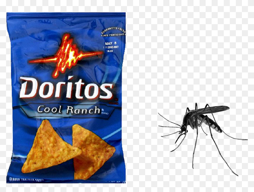 Cool ranch doritos small bag calories