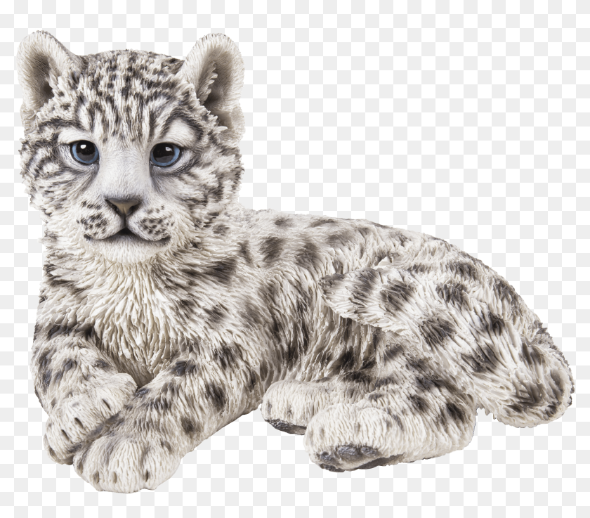 Cute Snow Leopard, HD Png Download - 3694x3107 (#6390585) - PinPng