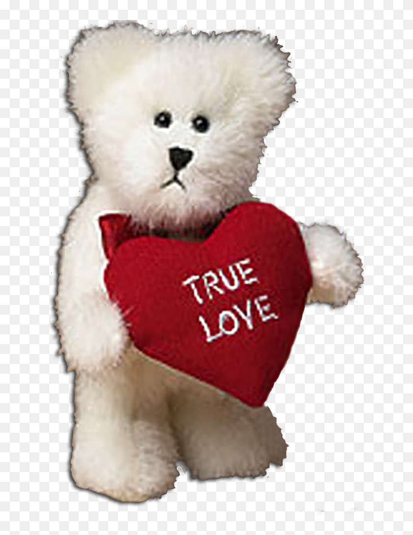 True love outlet teddy bear