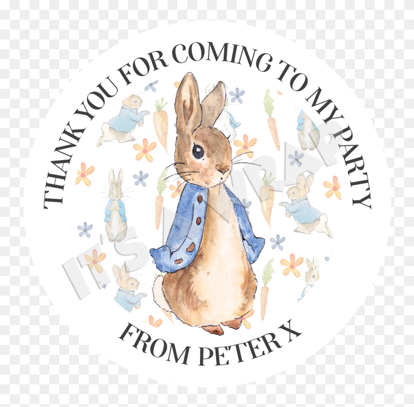 Personalised Peter Rabbit Movie Stickers Birthday Party Thank You Sweet Cone Bag 