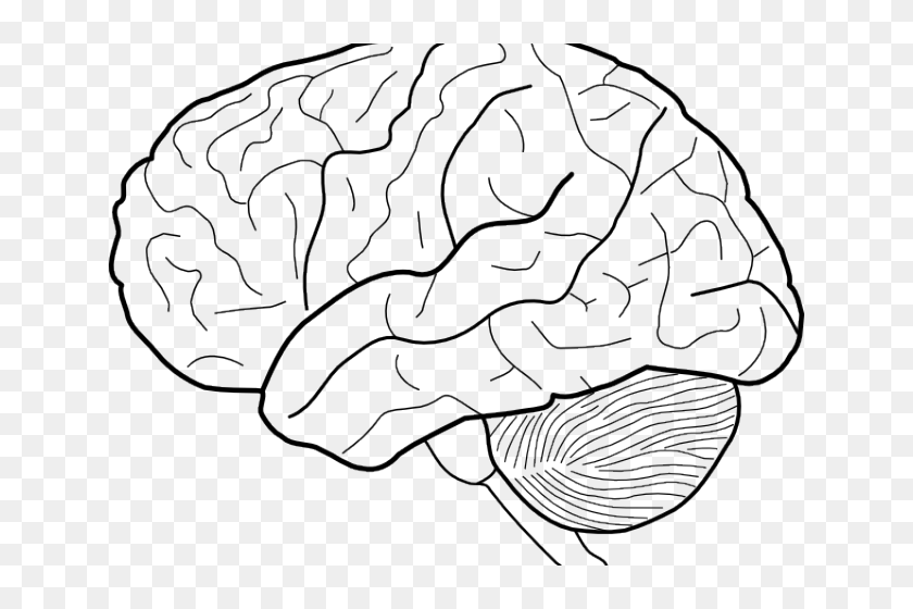 Mind Clipart Brain Outline - Brain Picture Black And White, HD Png ...