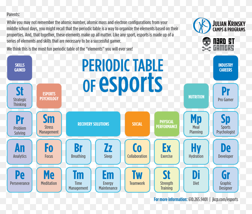 esports-team-management-software-hd-png-download-800x643-6783561