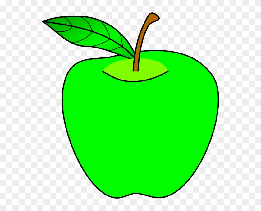 Apple Clipart At Getdrawings Clipart Apple Hd Png Download 570x599 715236 Pinpng
