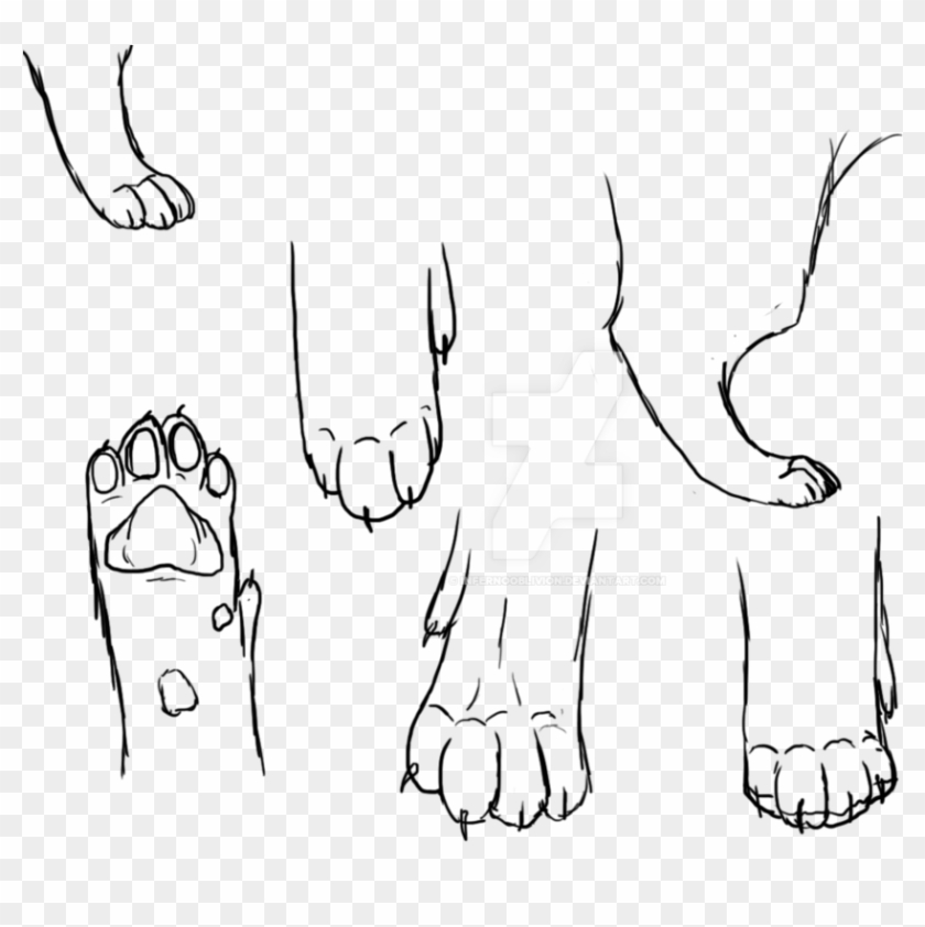 Cat Paw Drawing - Draw A Warrior Cat Paw, HD Png Download, png image, 1019x...