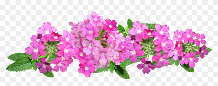 Flowers, Pink, Arrangement, Plant, Garden , Flower Top View