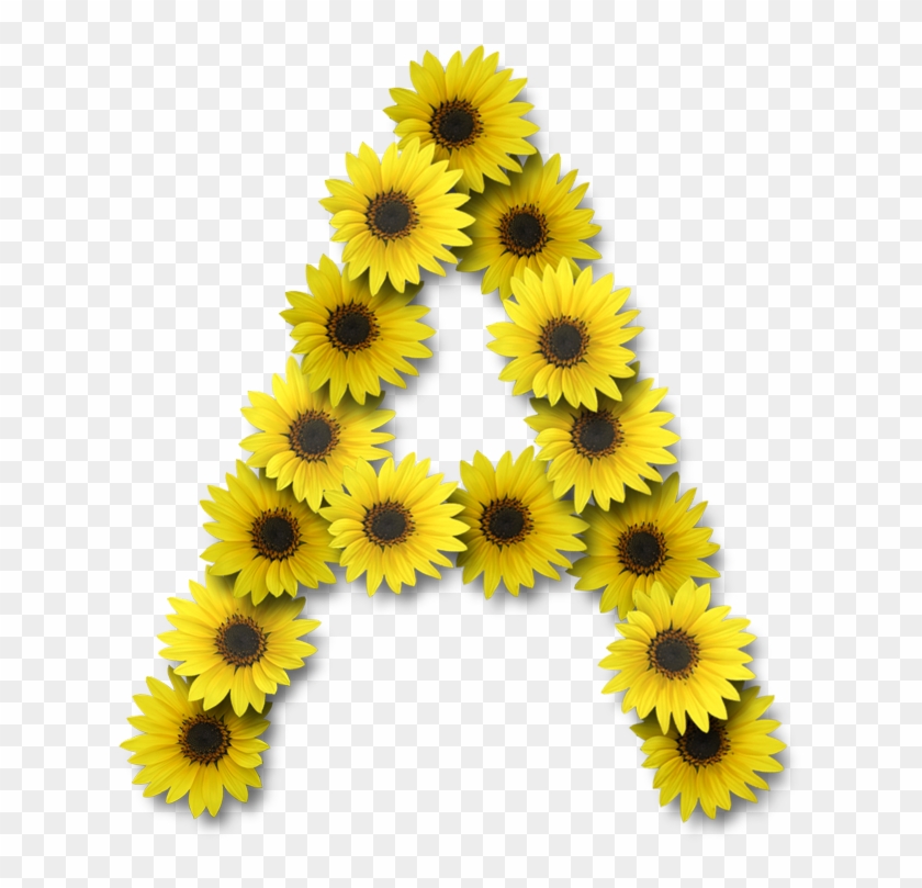 Alfabeto Sunflowers Letras Hechas Con Girasoles, HD Png Download