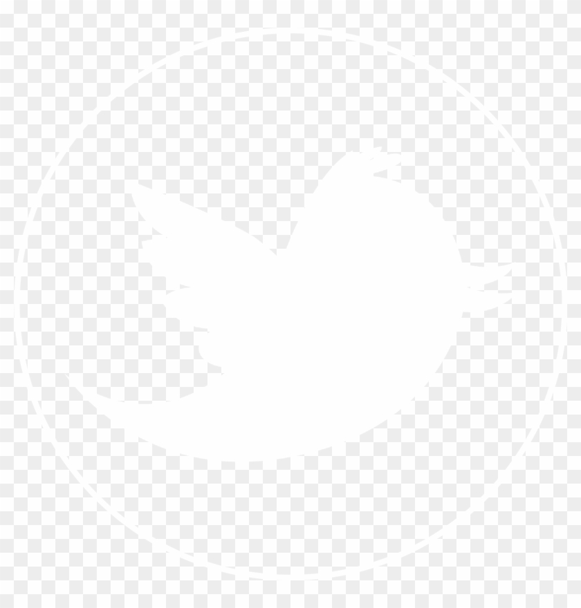 Twitter Icon White Png Twitter Circle Icon Png White Transparent Png 1999x00 Pinpng